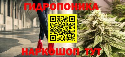 твердый Новокубанск