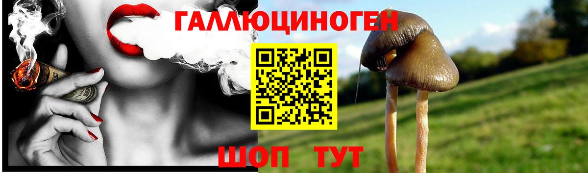 Псилоцибиновые грибы GOLDEN TEACHER Курск